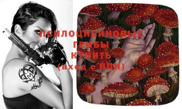 хмурый Горнозаводск
