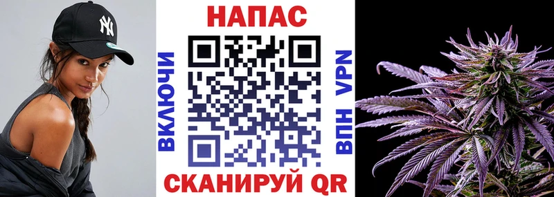 Купить где  Болгар  Бошки марихуана OG Kush 